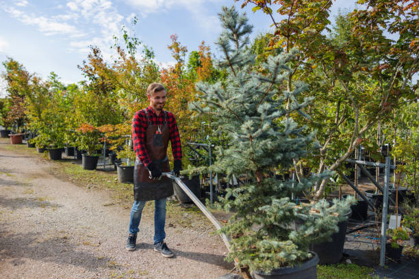 Best Fruit Tree Pruning  in Pelion, SC